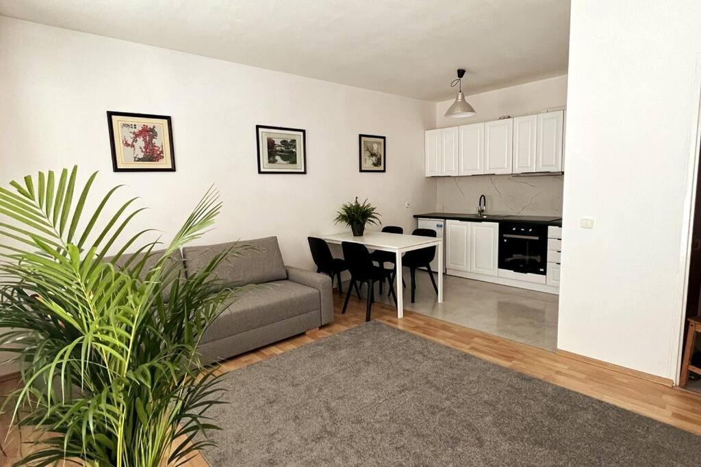 Kabacki Dukt Apartment Warschau